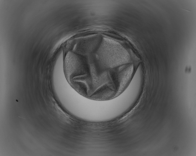 X0000088871402200707061337