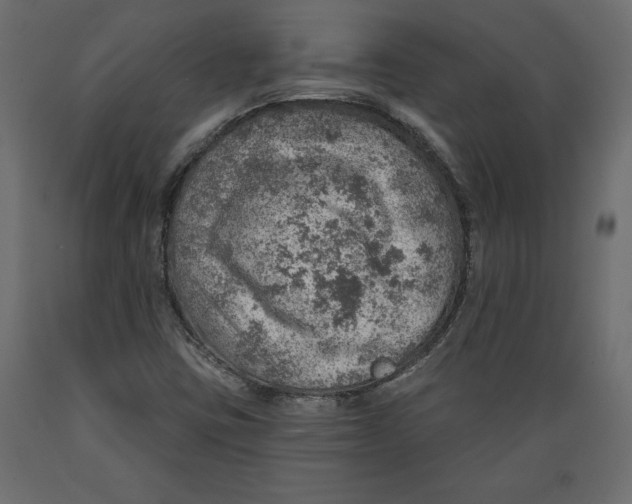 X0000088871403200707061337