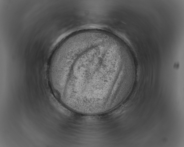 X0000088871404200707061337