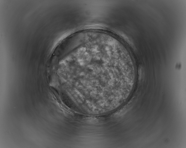 X0000088871405200707061337
