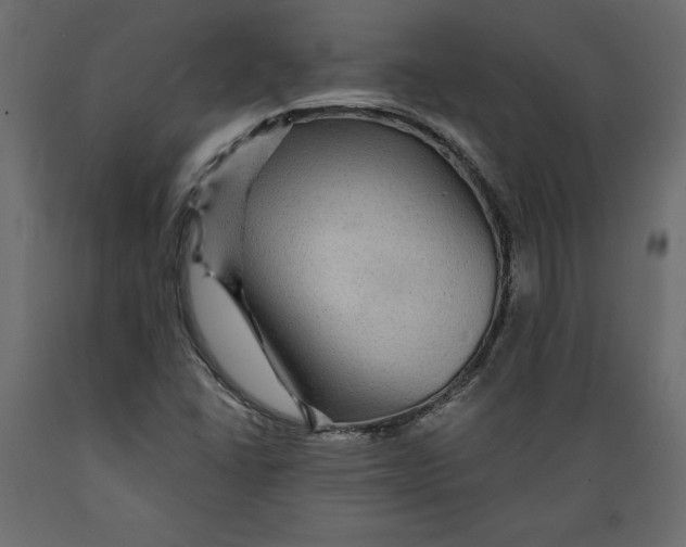 X0000088871406200707061337