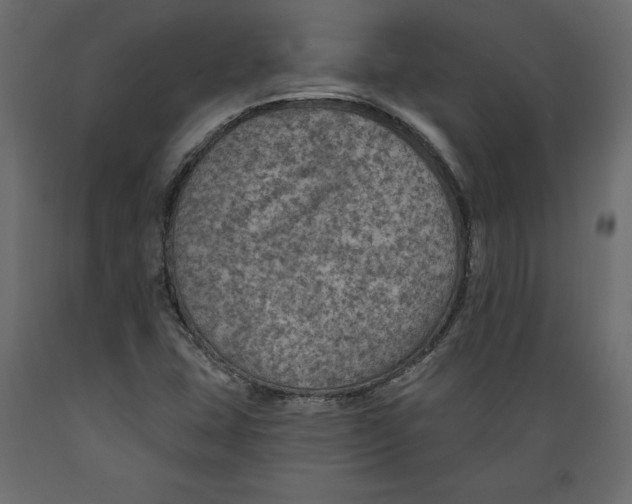 X0000088871407200707061337