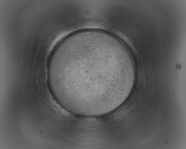 X0000088871408200707061337