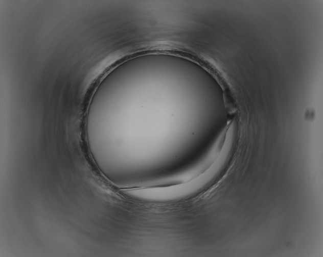 X0000088871410200707061337