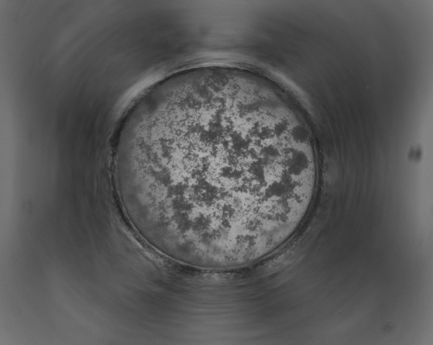 X0000088871411200707061337