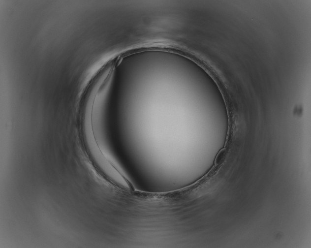 X0000088871414200707061337