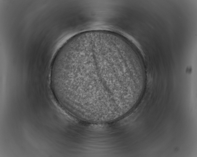 X0000088871415200707061338