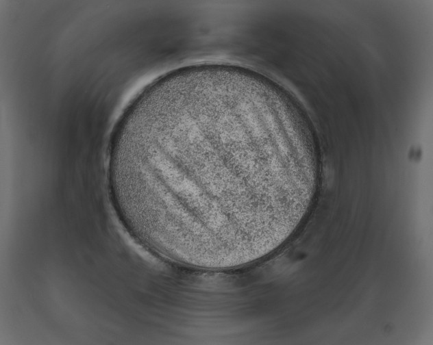 X0000088871416200707061338