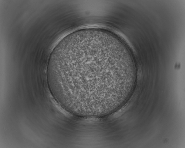 X0000088871417200707061338