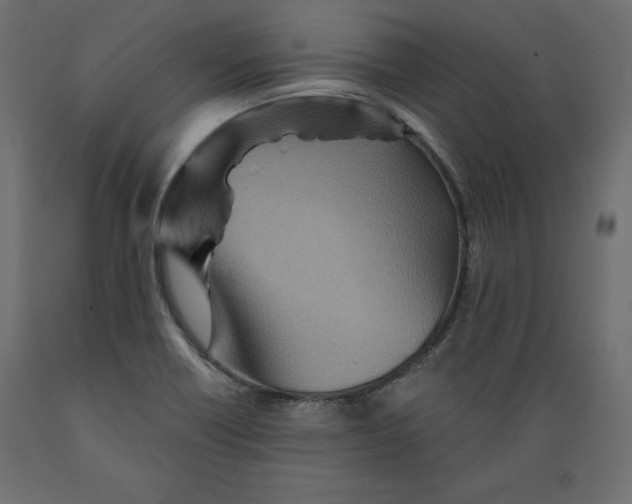 X0000088871418200707061338
