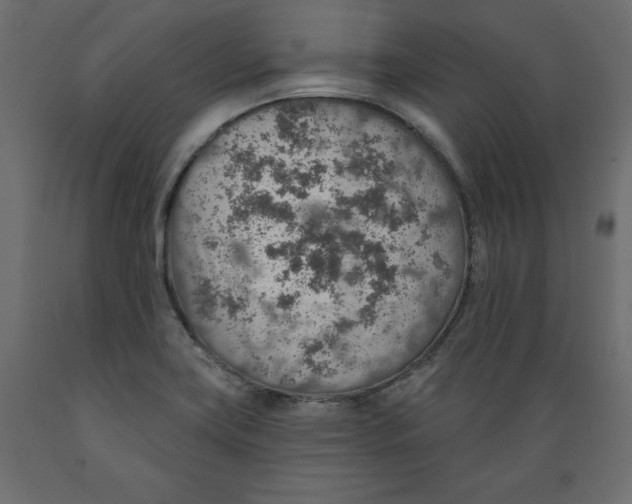 X0000088871419200707061338