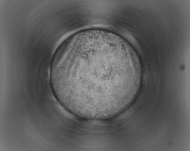 X0000088871420200707061338