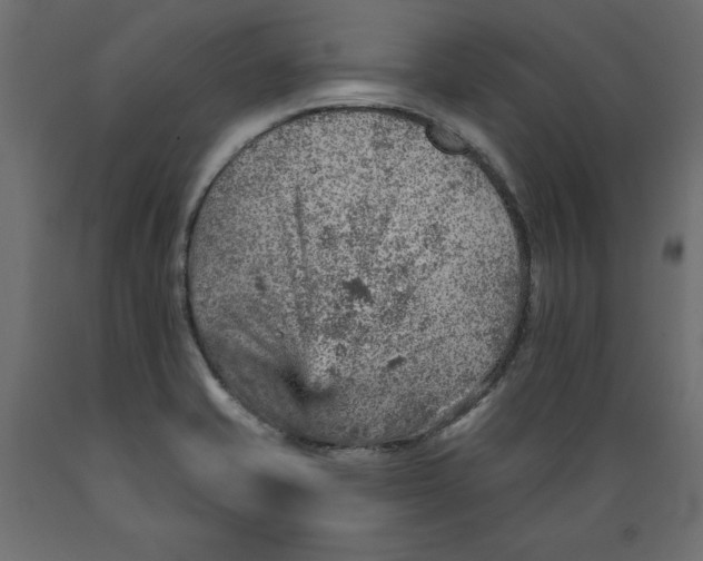 X0000088871421200707061338