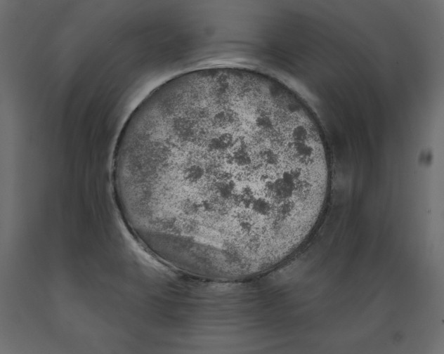 X0000088871423200707061338