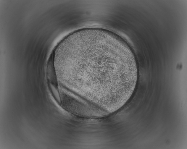 X0000088871424200707061338