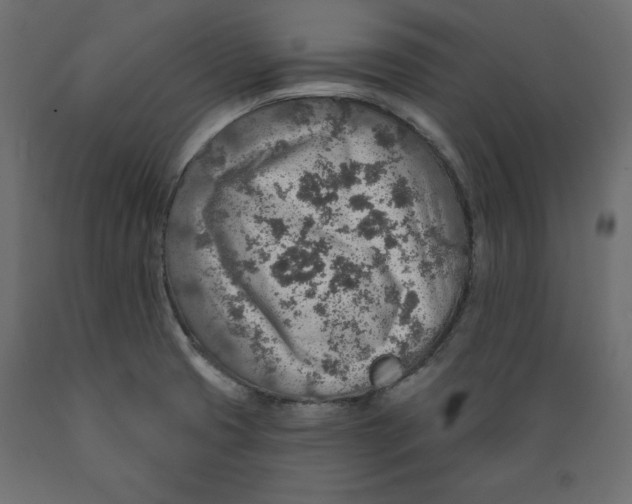 X0000088871425200707061338