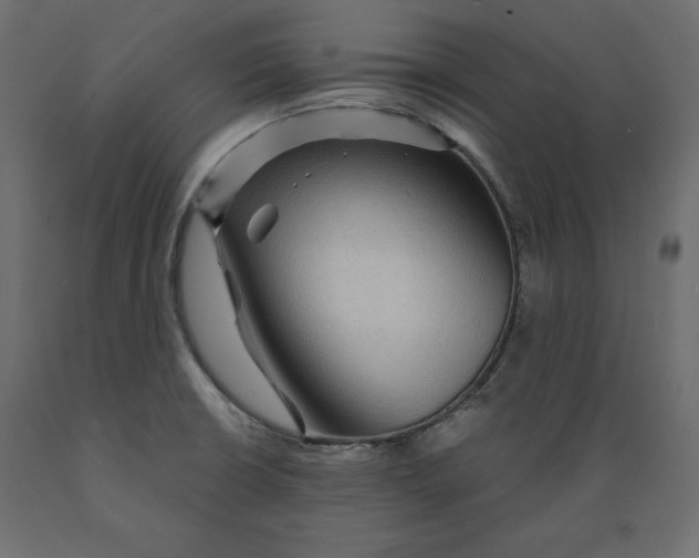 X0000088871426200707061338