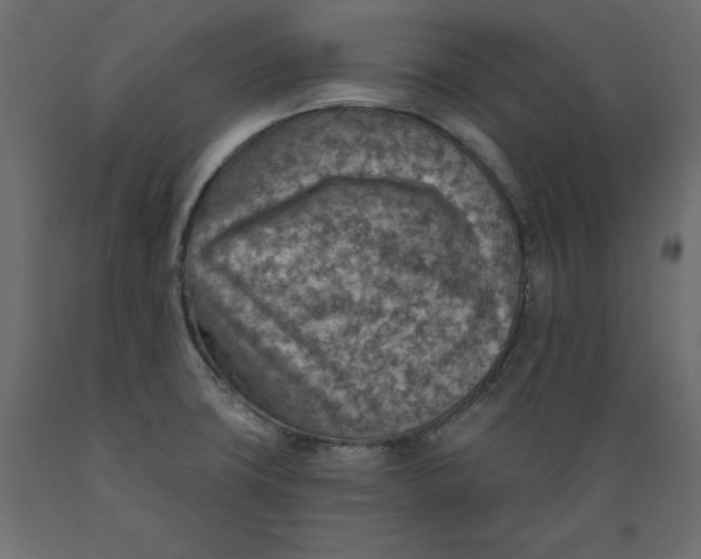 X0000088871427200707061338