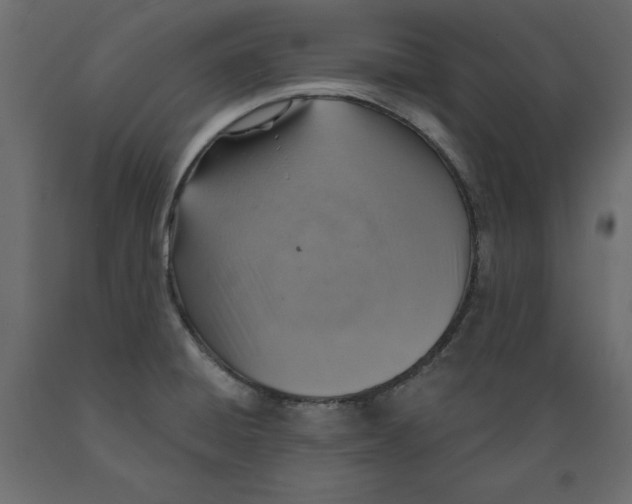 X0000088871428200707061338