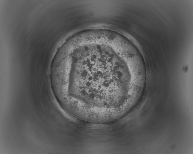 X0000088871429200707061338