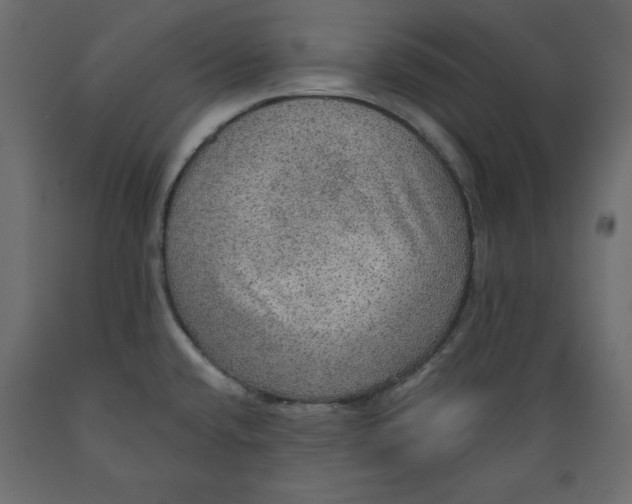 X0000088871432200707061338