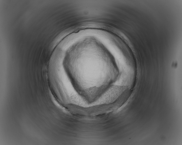 X0000088871433200707061338
