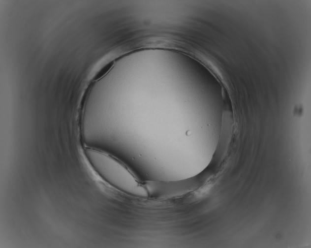 X0000088871434200707061338