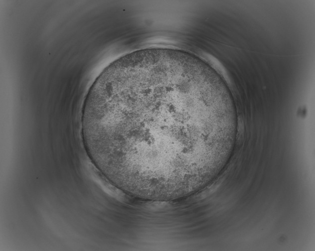 X0000088871435200707061338
