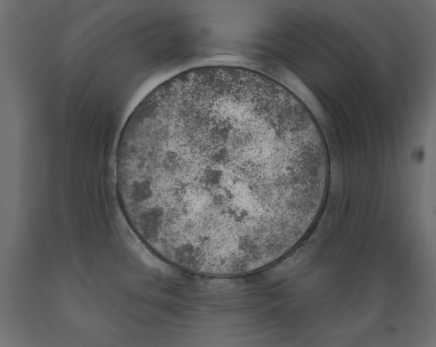 X0000088871436200707061338