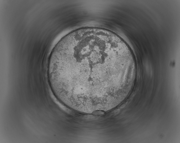 X0000088871437200707061338