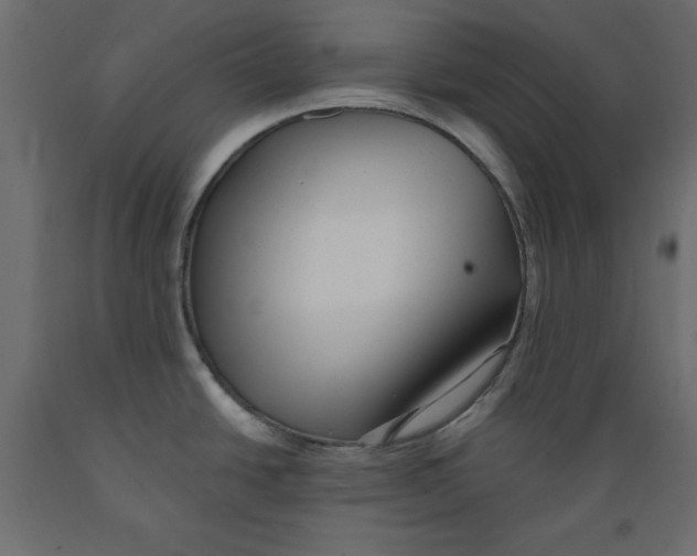 X0000088871438200707061338