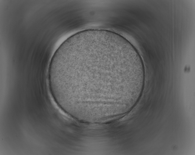 X0000088871440200707061338