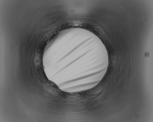 X0000088871442200707061337