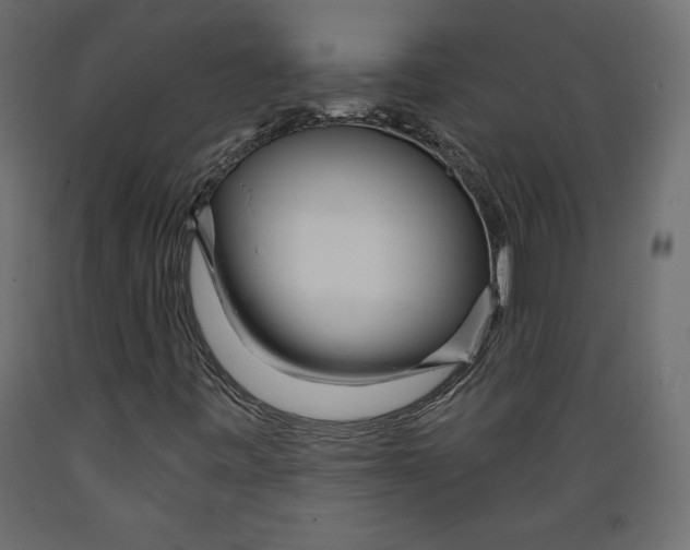 X0000088871443200707061337