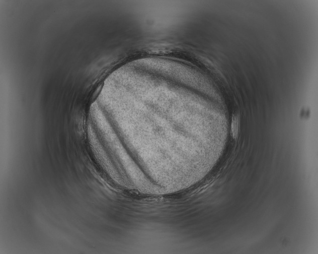 X0000088871444200707061337