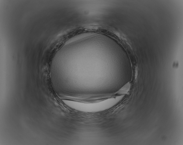X0000088871445200707061337