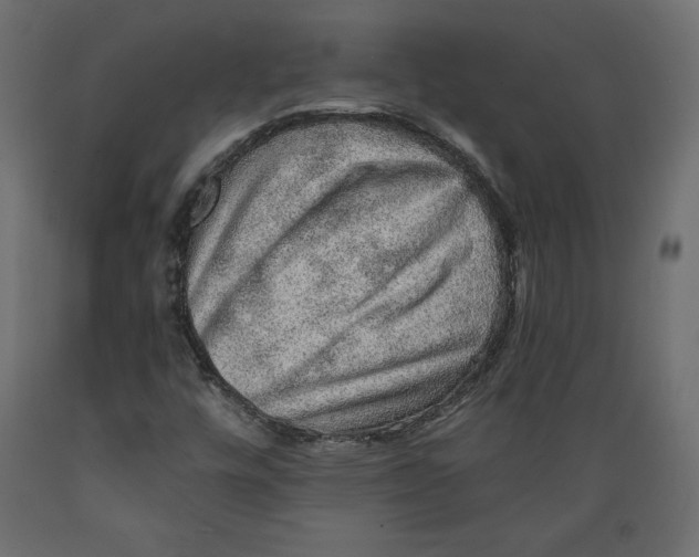 X0000088871448200707061337