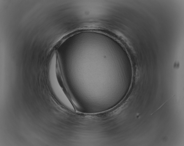 X0000088871449200707061337