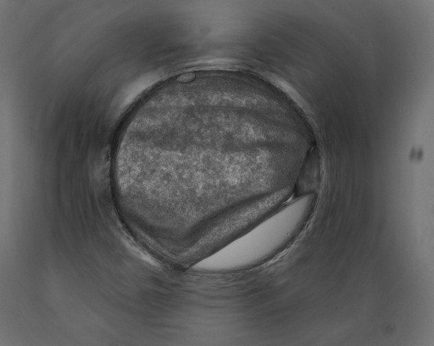 X0000088871450200707061337