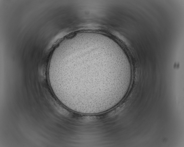 X0000088871451200707061337