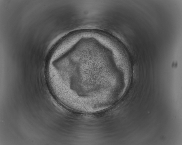 X0000088871452200707061337