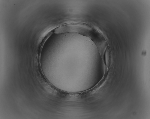 X0000088871453200707061337