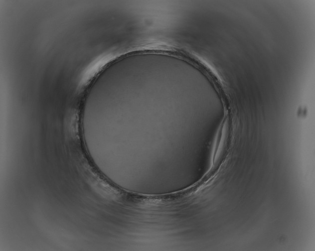 X0000088871455200707061337