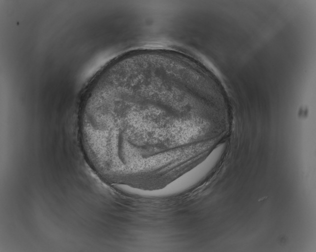 X0000088871456200707061337