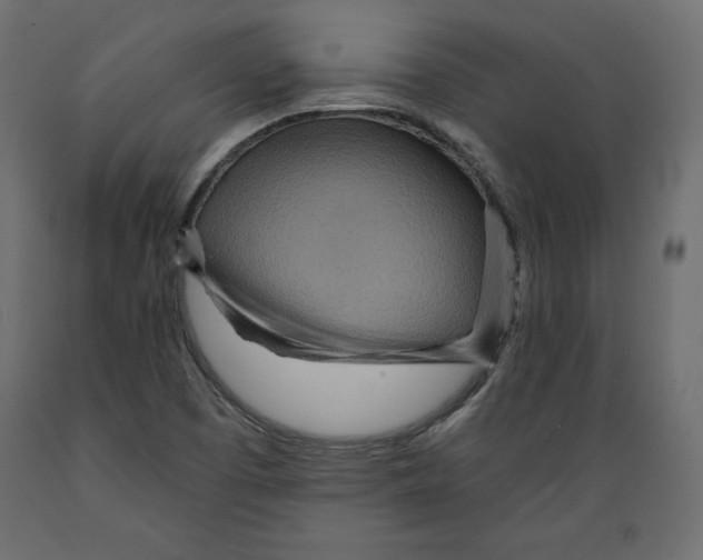 X0000088871457200707061337