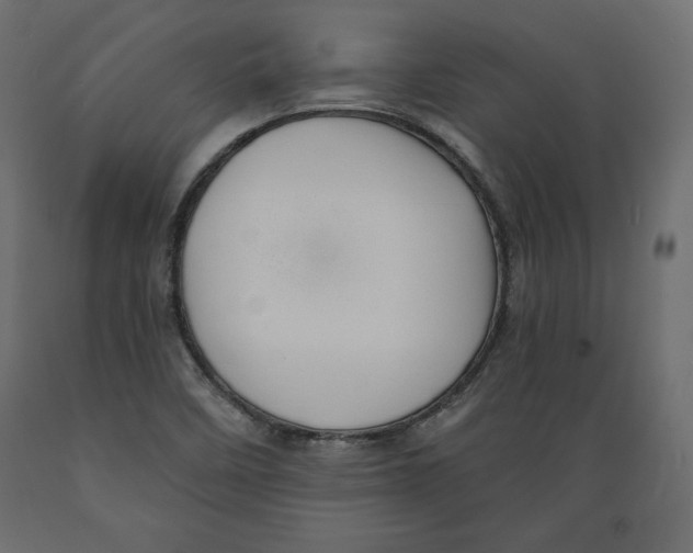X0000088871458200707061337