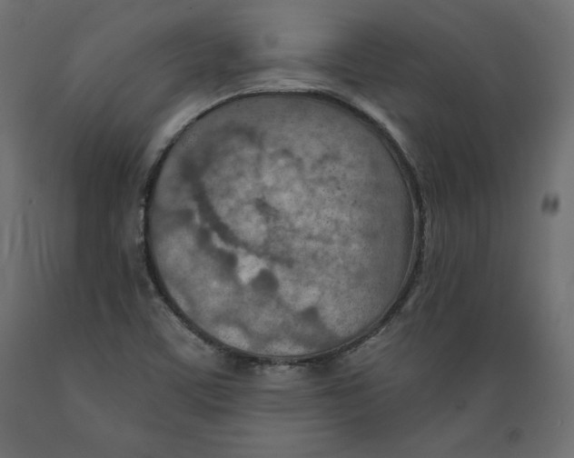 X0000088871459200707061337