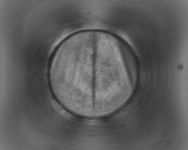 X0000088871460200707061337
