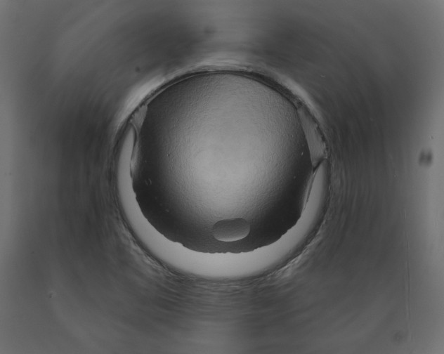 X0000088871461200707061337