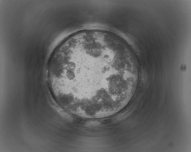 X0000088871462200707061337